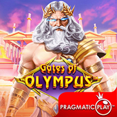 Cổng Olympus SV888